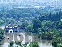91麻豆精东果冻天美传媒老狼-珍惜此刻的光影记忆——在网络世界中寻觅真我