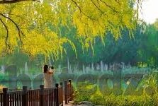 亚洲中文字幕无码久久2021-探索亚洲文化多样性的独特视角，2021年无码内容的启示